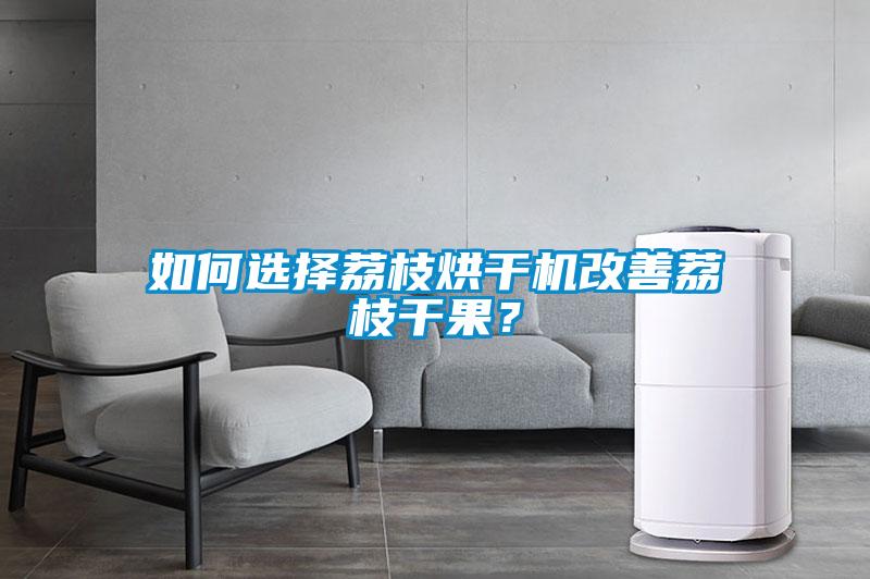 如何選擇荔枝烘干機(jī)改善荔枝干果？