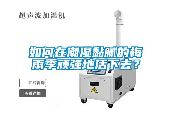 如何在潮濕黏膩的梅雨季頑強地活下去？