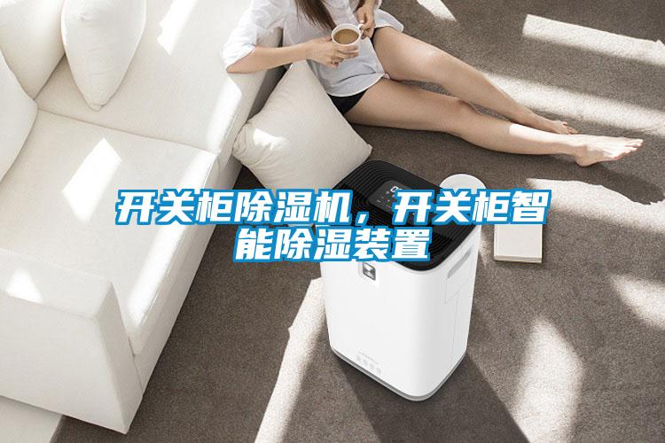 開關(guān)柜除濕機，開關(guān)柜智能除濕裝置