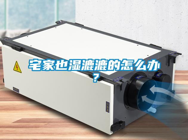 宅家也濕漉漉的怎么辦？