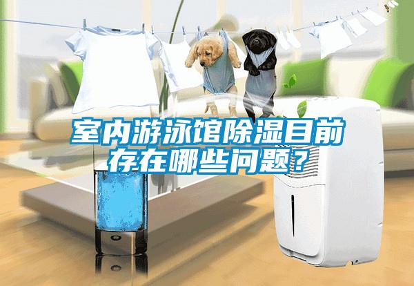室內(nèi)游泳館除濕目前存在哪些問題?