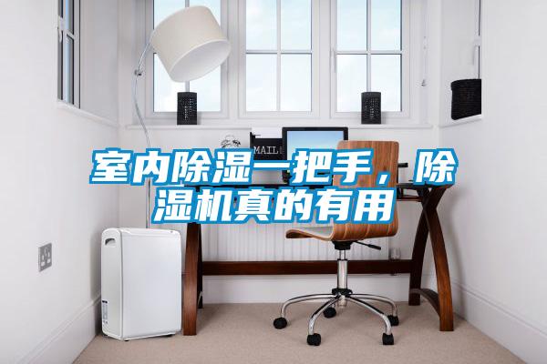 室內(nèi)除濕一把手，除濕機(jī)真的有用