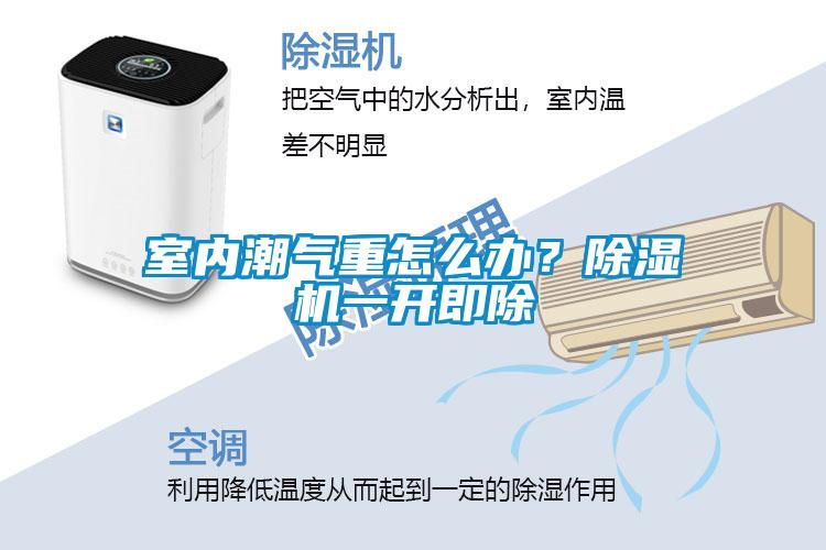 室內(nèi)潮氣重怎么辦？除濕機一開即除