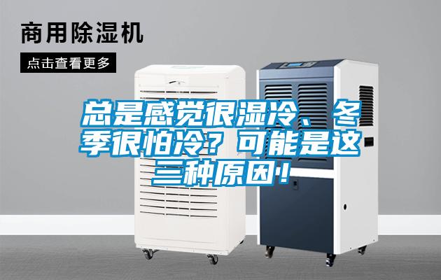 總是感覺很濕冷、冬季很怕冷？可能是這三種原因！
