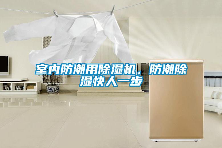 室內(nèi)防潮用除濕機，防潮除濕快人一步