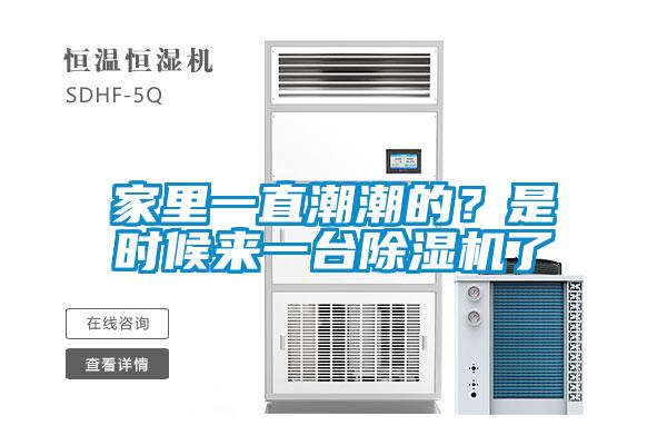 家里一直潮潮的？是時(shí)候來一臺(tái)除濕機(jī)了