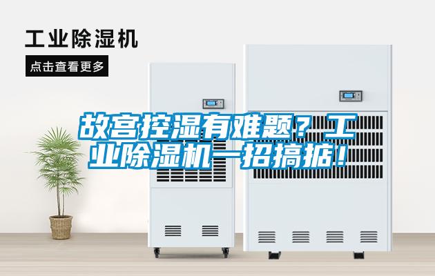 故宮控濕有難題？工業(yè)除濕機(jī)一招搞掂！