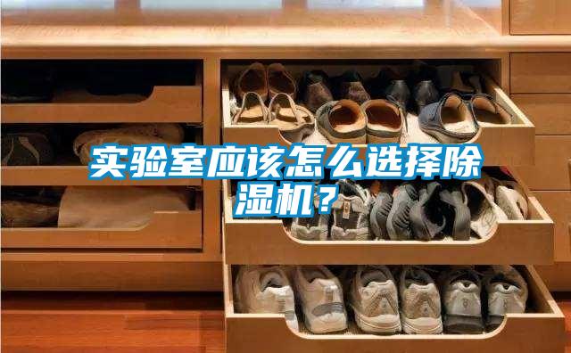 實(shí)驗(yàn)室應(yīng)該怎么選擇除濕機(jī)？