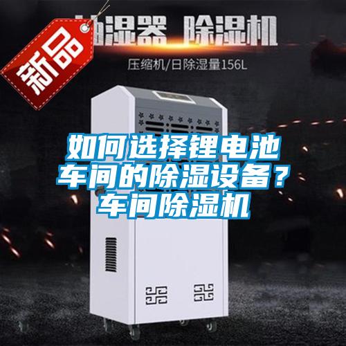 如何選擇鋰電池車間的除濕設(shè)備？車間除濕機(jī)