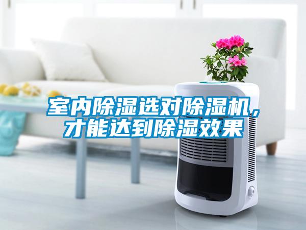 室內(nèi)除濕選對(duì)除濕機(jī)，才能達(dá)到除濕效果