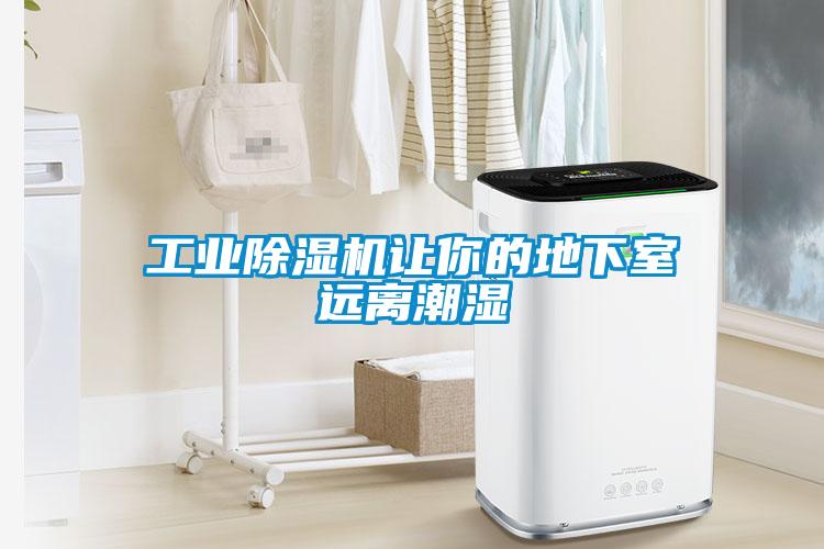 工業(yè)除濕機(jī)讓你的地下室遠(yuǎn)離潮濕