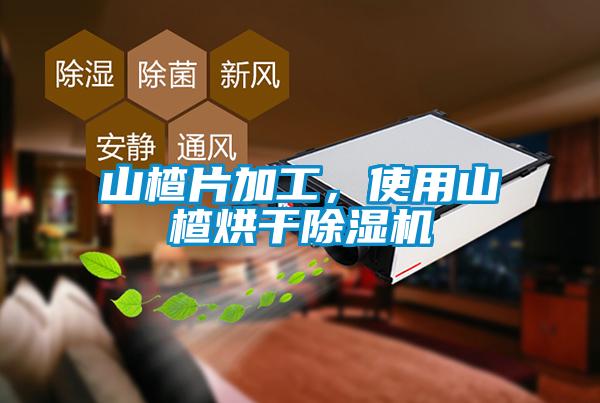 山楂片加工，使用山楂烘干除濕機(jī)