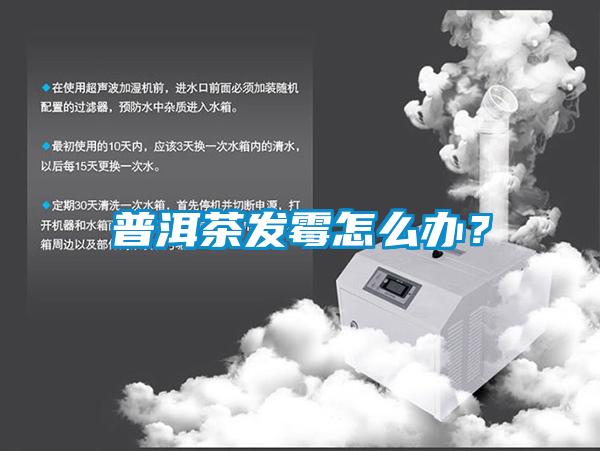普洱茶發(fā)霉怎么辦？