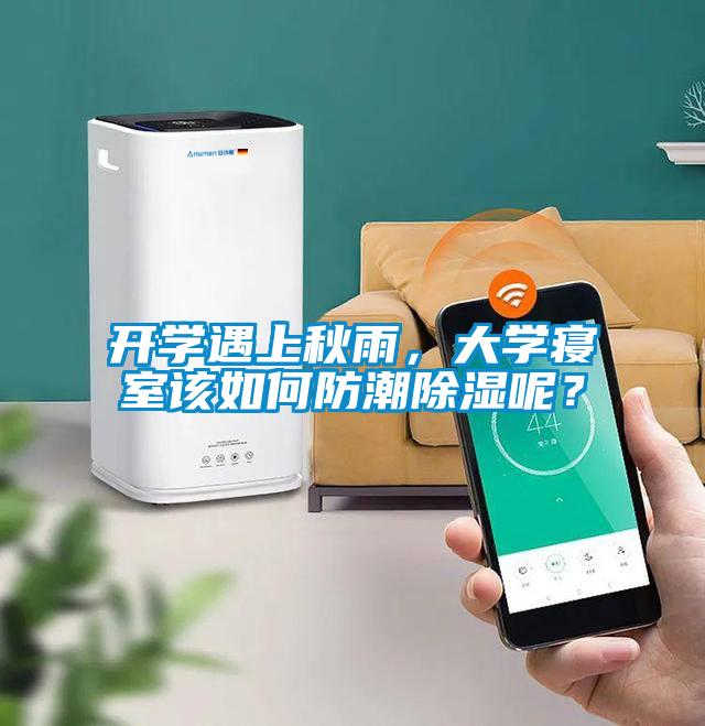 開學遇上秋雨，大學寢室該如何防潮除濕呢？