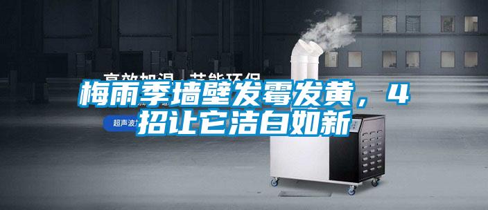 梅雨季墻壁發(fā)霉發(fā)黃，4招讓它潔白如新