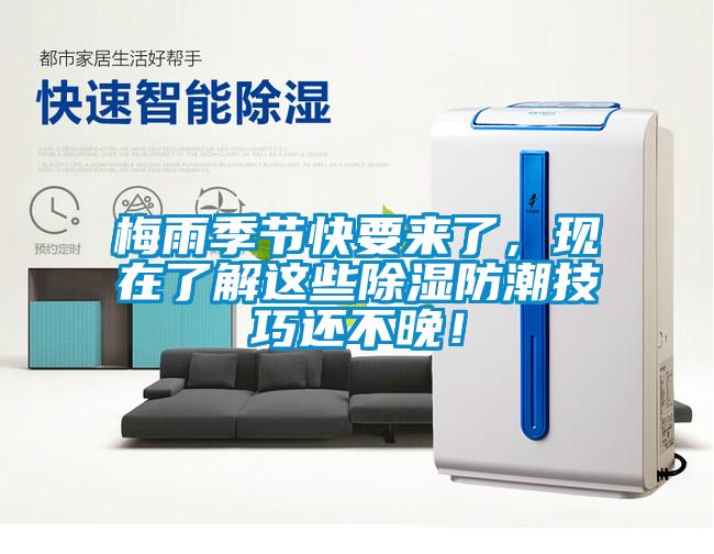 梅雨季節(jié)快要來了，現(xiàn)在了解這些除濕防潮技巧還不晚！