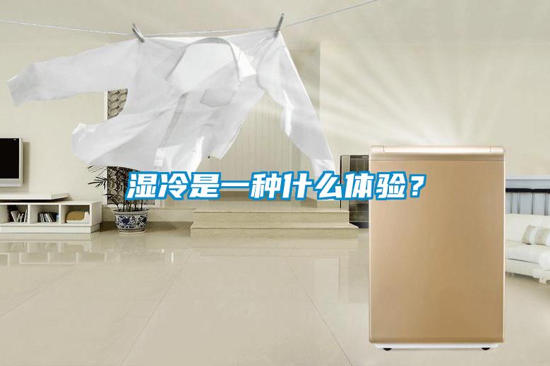 濕冷是一種什么體驗？