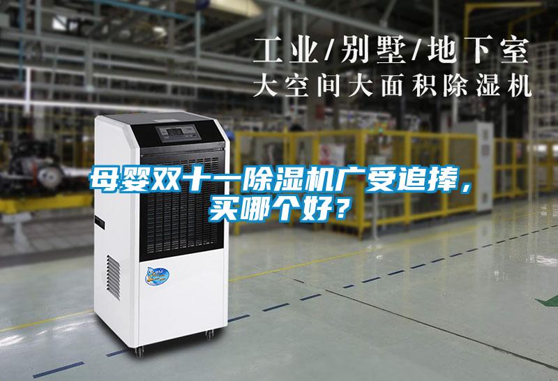 母嬰雙十一除濕機(jī)廣受追捧，買哪個(gè)好？