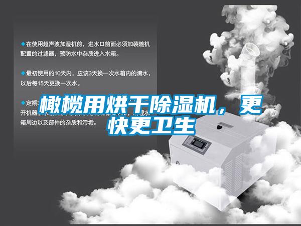 橄欖用烘干除濕機(jī)，更快更衛(wèi)生