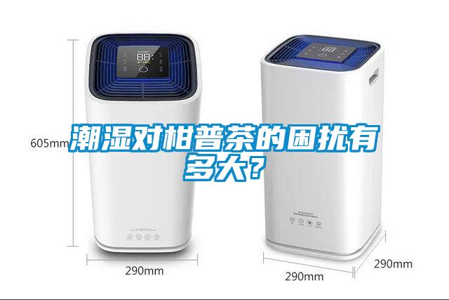 潮濕對(duì)柑普茶的困擾有多大？