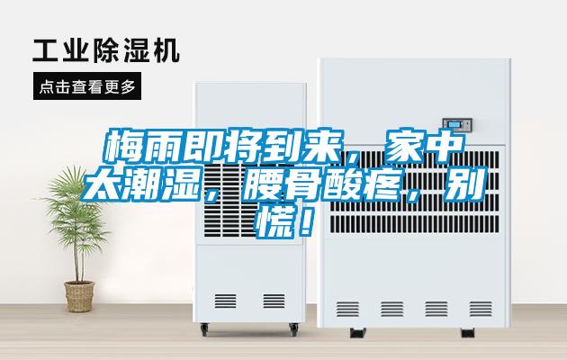 梅雨即將到來，家中太潮濕，腰骨酸疼，別慌！
