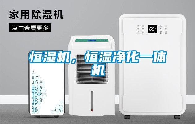 恒濕機(jī)，恒濕凈化一體機(jī)