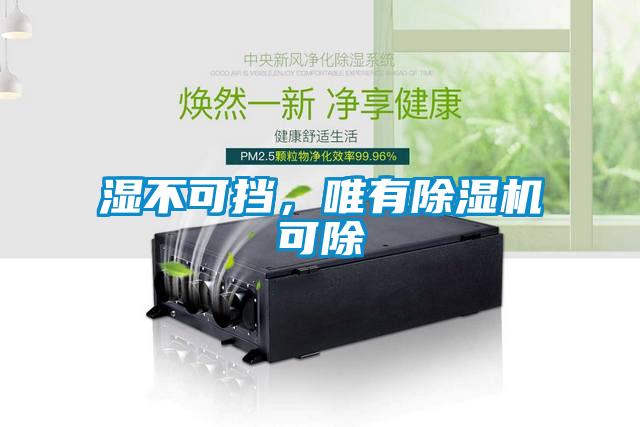 濕不可擋，唯有除濕機(jī)可除