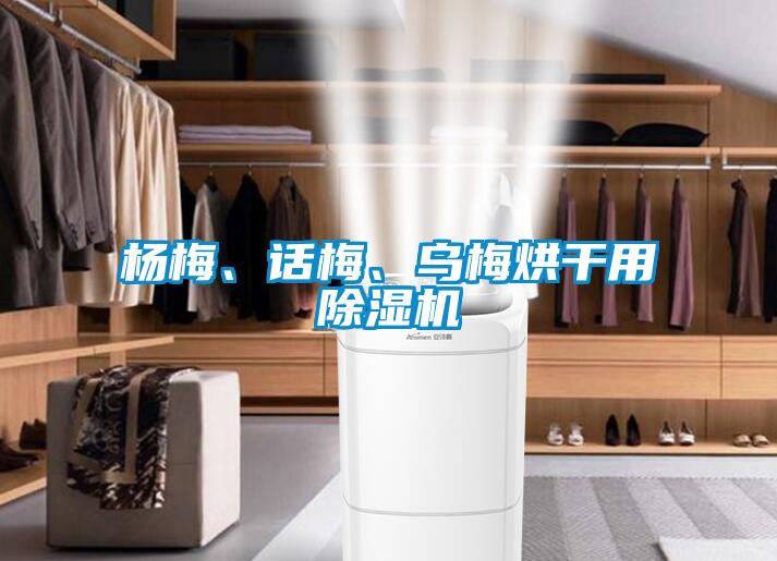 楊梅、話梅、烏梅烘干用除濕機