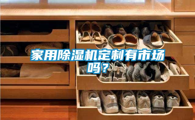 家用除濕機(jī)定制有市場嗎？