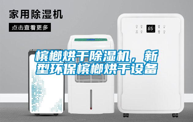 檳榔烘干除濕機，新型環(huán)保檳榔烘干設備