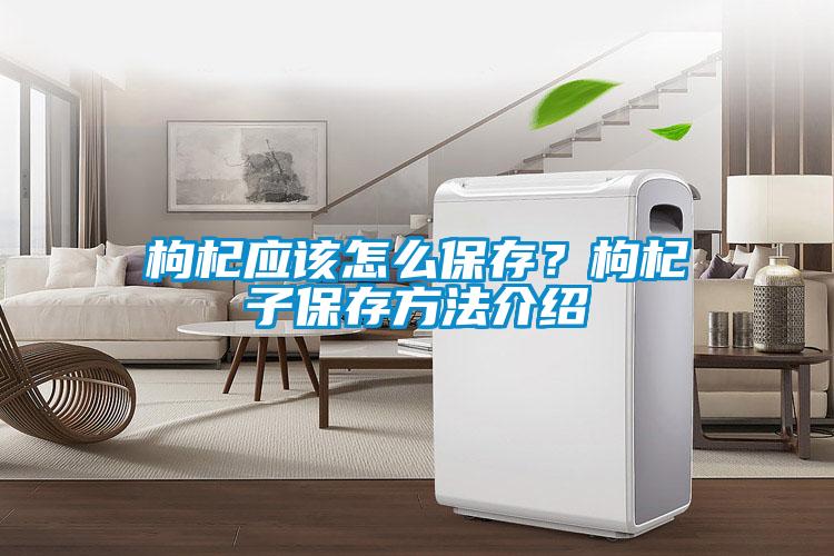 枸杞應(yīng)該怎么保存？枸杞子保存方法介紹