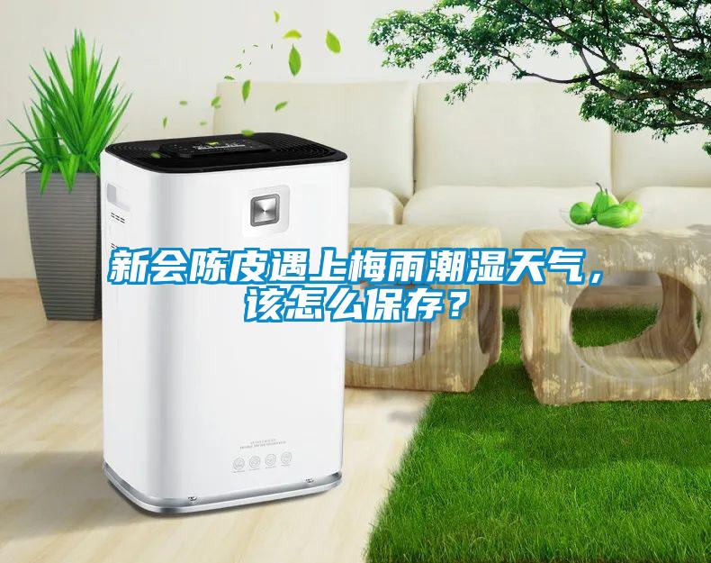 新會(huì)陳皮遇上梅雨潮濕天氣，該怎么保存？