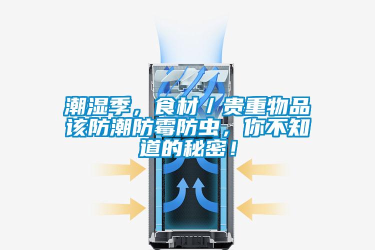 潮濕季，食材／貴重物品該防潮防霉防蟲，你不知道的秘密！