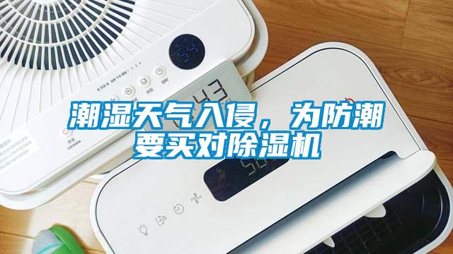 潮濕天氣入侵，為防潮要買對除濕機