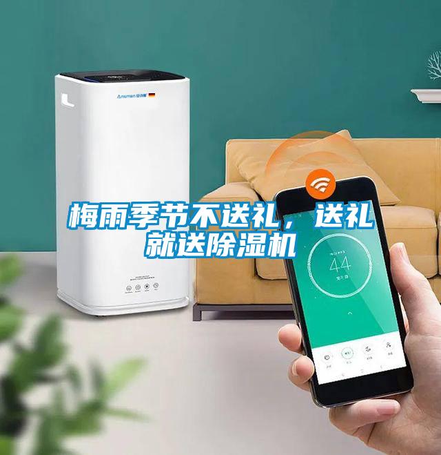 梅雨季節(jié)不送禮，送禮就送除濕機