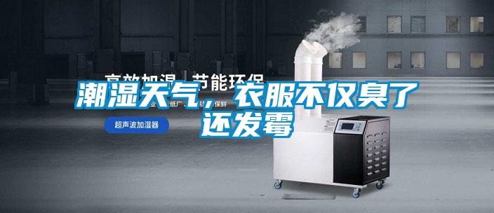潮濕天氣，衣服不僅臭了還發(fā)霉