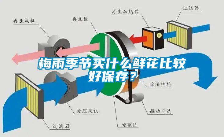 梅雨季節(jié)買什么鮮花比較好保存？