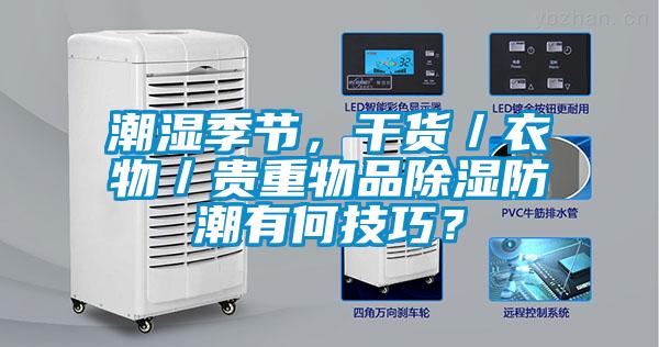 潮濕季節(jié)，干貨／衣物／貴重物品除濕防潮有何技巧？