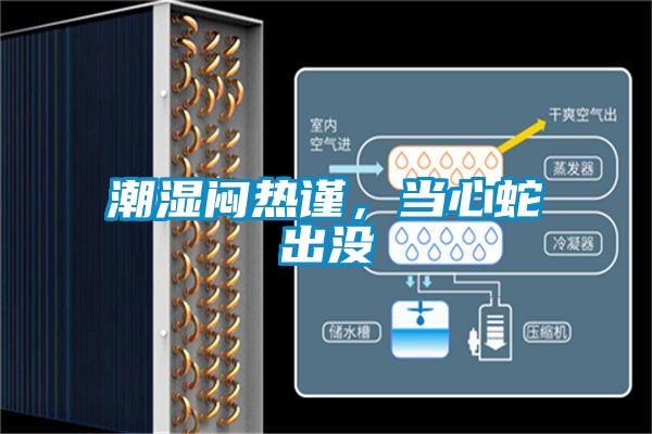 潮濕悶熱謹(jǐn)，當(dāng)心蛇出沒