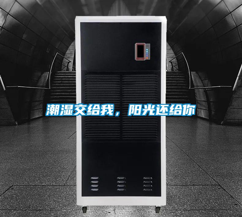 潮濕交給我，陽光還給你