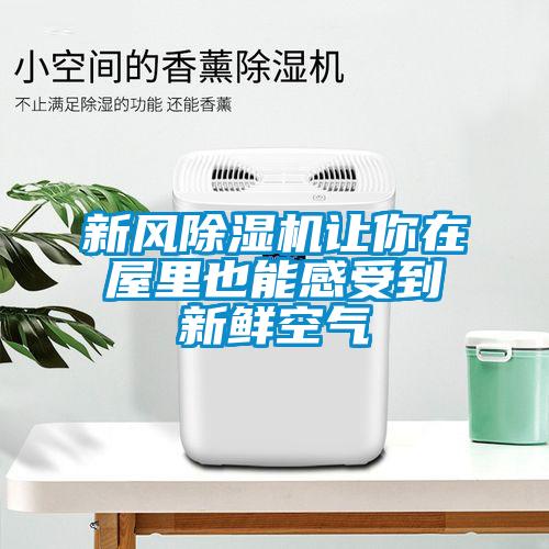 新風(fēng)除濕機讓你在屋里也能感受到新鮮空氣