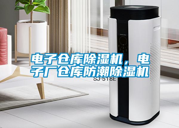 電子倉庫除濕機(jī)，電子廠倉庫防潮除濕機(jī)