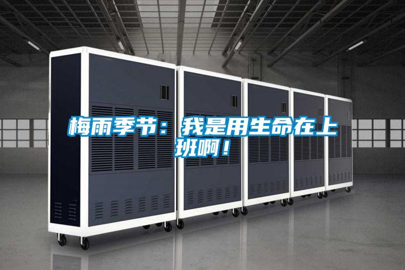 梅雨季節(jié)：我是用生命在上班??！