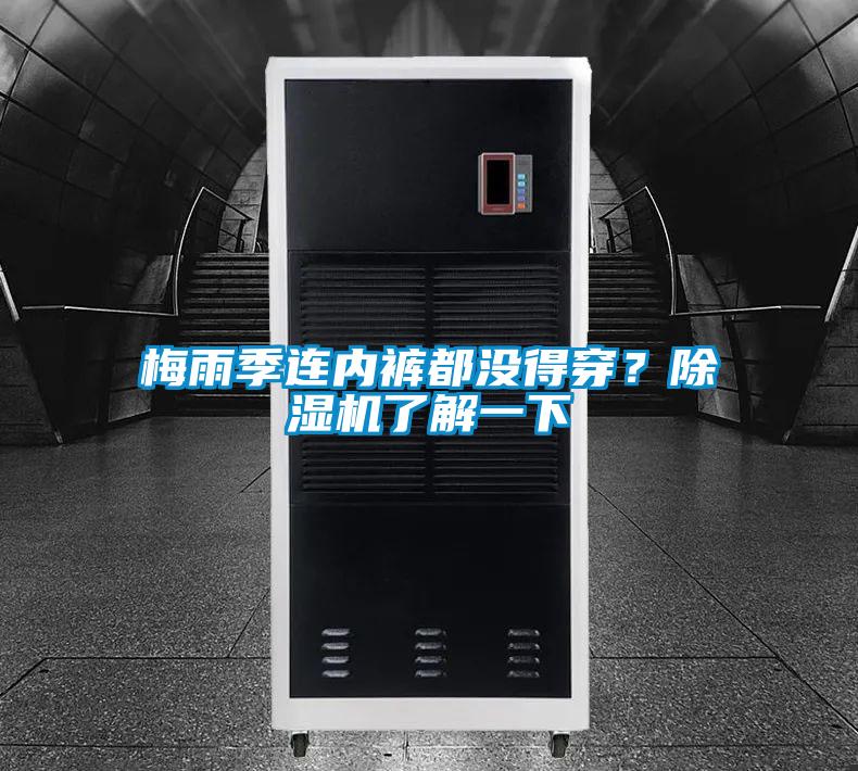 梅雨季連內(nèi)褲都沒(méi)得穿？除濕機(jī)了解一下
