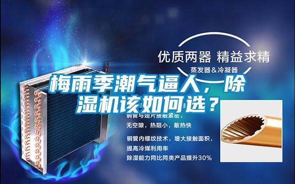 梅雨季潮氣逼人，除濕機(jī)該如何選？