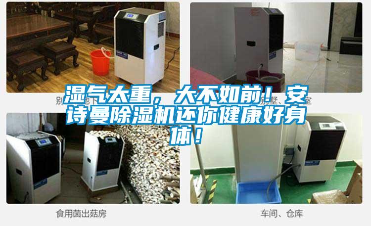 濕氣太重，大不如前！安詩曼除濕機還你健康好身體！