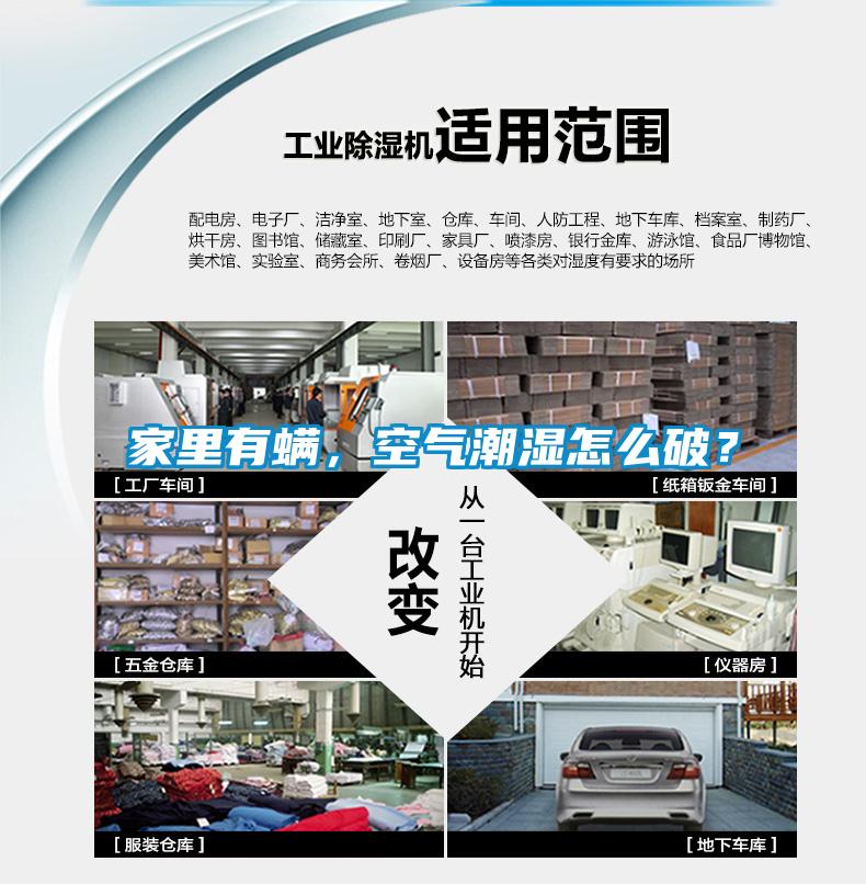 家里有螨，空氣潮濕怎么破？