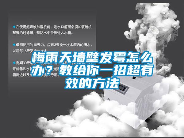 梅雨天墻壁發(fā)霉怎么辦？教給你一招超有效的方法