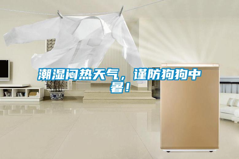 潮濕悶熱天氣，謹(jǐn)防狗狗中暑！