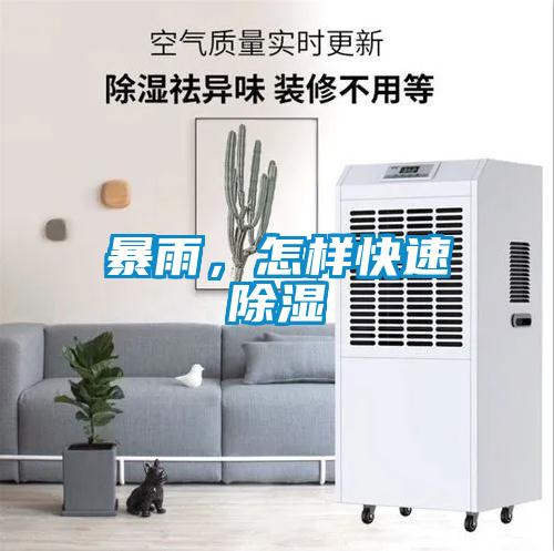 暴雨，怎樣快速除濕